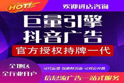 SEM代运营机构案例分析：优化策略与执行